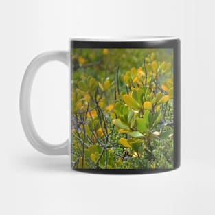 Beach Mangrove Mug